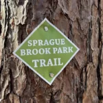 Sprague Brook