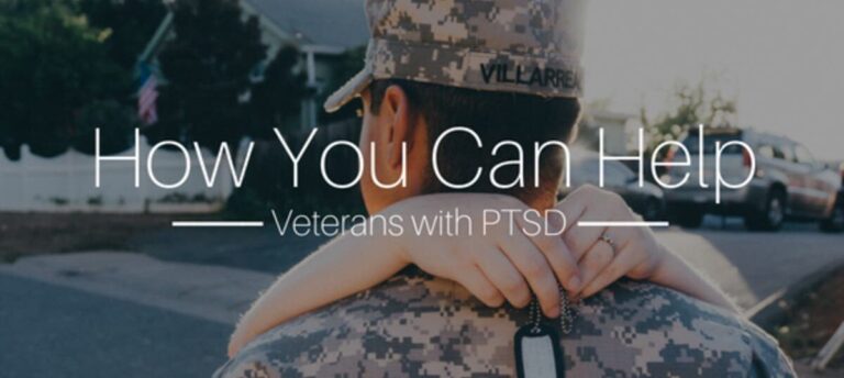 Stepping Out of the Shadows: Disabled Ve...